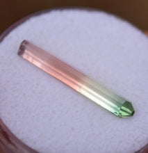 Load image into Gallery viewer, Exceptional 4-Color Tourmaline Crystal from Rubaya Mine, DRC - 3.63 ct.