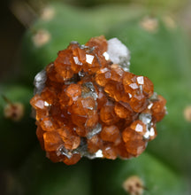 Load image into Gallery viewer, Spessartine Garnet and Biotite Mica Combo Thumbnail - Wushan Mine, Tongbei, China -