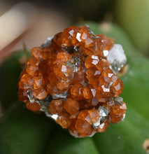 Load image into Gallery viewer, Spessartine Garnet and Biotite Mica Combo Thumbnail - Wushan Mine, Tongbei, China -