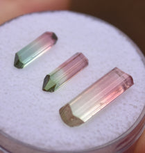 Load image into Gallery viewer, Trio of Rubaya Tourmaline - High Graded for Crystal Form, and Color - TOP AESTHETICS - 5.36 ctw.
