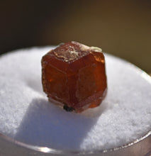 Load image into Gallery viewer, VERMONT Hessonite Garnet with Secondary Lamellar Growth - Eden Mills / VAG Quarry Belvidere Mountain - Northern Vermont - 2.94 grams