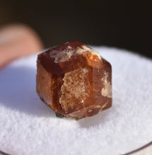 Load image into Gallery viewer, VERMONT Hessonite Garnet with Secondary Lamellar Growth - Eden Mills / VAG Quarry Belvidere Mountain - Northern Vermont - 2.94 grams