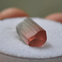 Load image into Gallery viewer, Perfect Bi-Color Tourmaline Crystal - 7 ct.