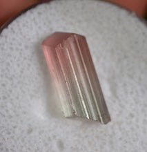 Load image into Gallery viewer, Perfect Bi-Color Tourmaline Crystal - 7 ct.