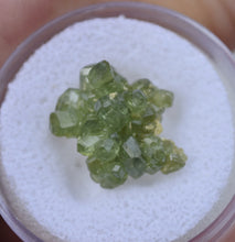 Load image into Gallery viewer, Apple Green Demantoid Garnet Cluster - Outstanding Crystal Form in a Large Thumbnail Size - 2.75 grams