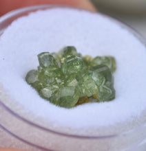 Load image into Gallery viewer, Apple Green Demantoid Garnet Cluster - Outstanding Crystal Form in a Large Thumbnail Size - 2.75 grams