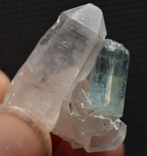 Load image into Gallery viewer, Vanadium Beryl / Emerald on Quartz Crystal Cluster - *New Find* - Nasarawa, Nigeria - 7.95 Grams