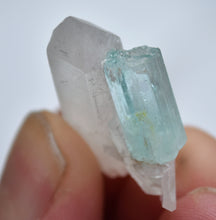 Load image into Gallery viewer, Vanadium Beryl / Emerald on Quartz Crystal Cluster - *New Find* - Nasarawa, Nigeria - 7.95 Grams