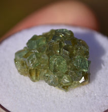 Load image into Gallery viewer, Demantoid Garnet Cluster Specimen - Madagascar - Perfect for Collection or Jewelry - 3.57 grams
