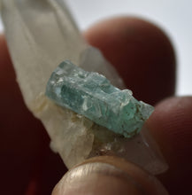 Load image into Gallery viewer, Vanadium Emerld on Quartz Crystals - Bicolor Emerald - Great Quality - 9.9 Grams