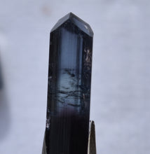 Load image into Gallery viewer, THREE Purple-Blue Liddicoatite Tourmaline Crystals from Madagascar - 1.12 grams