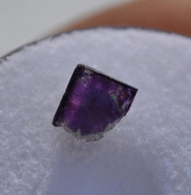 Load image into Gallery viewer, New Hampshire Fluorite MICROMOUNT - Incredible Color Zoning and Clarity!