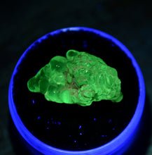 Load image into Gallery viewer, Incredible Hyalite Opal Specimen - 100% gem Quality Botryoidal Crystal- GLOWS Neon Green Under Blacklight