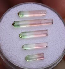 Load image into Gallery viewer, Set of 5 Matching Tourmaline Crystals from Rubaya Mine, DRC - 1.18 Grams - Eye Clean + Terminated