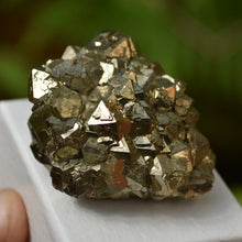 Load image into Gallery viewer, Undamaged Pyrite Concretion from Port Au Port, Newfoundland, Canada - Miniature Specimen -