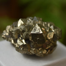 Load image into Gallery viewer, Undamaged Pyrite Concretion from Port Au Port, Newfoundland, Canada - Miniature Specimen -