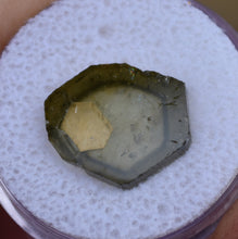 Load image into Gallery viewer, Tourmaline-Included Tourmaline Slice from Jajarkot, Nepal - Unbelievable Creation of Nature - 6.18 ct.