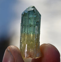 Load image into Gallery viewer, Tri-Color Tourmaline - Pink, Yellow, Green - Rubaya Mine, DRC - 8.95 grams