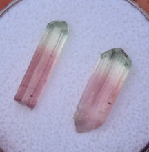 Load image into Gallery viewer, CLASSIC Watermelon Colored Tourmalines (2) - EXTRA Juicy - 4.865 ctw. - Rubaya Mine, DRC