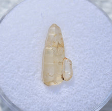 Load image into Gallery viewer, Yellow Sapphire Crystal - Double Terminated Alluvial Gem with Sidecar - Ratnapura, Sri Lanka - 5.27 ct.