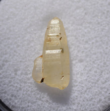 Load image into Gallery viewer, Yellow Sapphire Crystal - Double Terminated Alluvial Gem with Sidecar - Ratnapura, Sri Lanka - 5.27 ct.