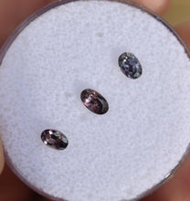 Load image into Gallery viewer, Songea Sapphire - Set of 3 Unique Colors - 1.09 ctw.