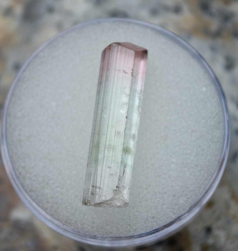 SALE Tri Color Tourmaline from Afghanistan 2 grams