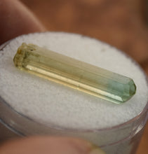 Load image into Gallery viewer, Bi-Color Tourmaline - Spring Blue + Canary Yellow - 1.64 grams