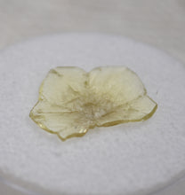 Load image into Gallery viewer, Chrysoberyl Crystal - Complete Sixling Twin - Lac Alaotra, Madagascar - 2.39 ct.