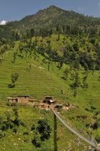 Load image into Gallery viewer, Nepali Dravite Slice - Thickachaur Mine, Jajarkot, Western Nepal - 5.67 ct.