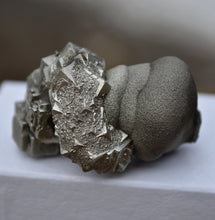 Load image into Gallery viewer, Fantastic Multi-Habit Pyrite Concretion - Port Au Port, Newfoundland, Canada - TOP Quality Miniature / Cabinet Specimen