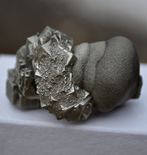 Load image into Gallery viewer, Fantastic Multi-Habit Pyrite Concretion - Port Au Port, Newfoundland, Canada - TOP Quality Miniature / Cabinet Specimen