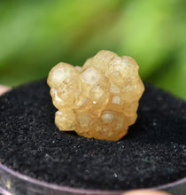 Load image into Gallery viewer, Yellow Grossular Garnet Cluster - 100% perfect Specimen - Handan Prefecture, Hebei Province, China