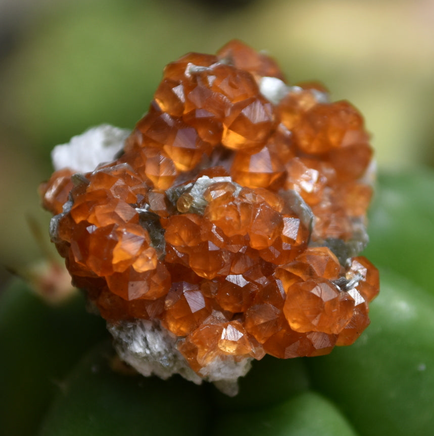 Spessartine Garnet and Biotite Mica Combo Tumbnail - Wushan Mine, Tongbei, China -