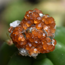 Load image into Gallery viewer, Spessartine Garnet and Biotite Mica Combo Tumbnail - Wushan Mine, Tongbei, China -
