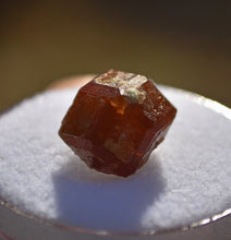 Load image into Gallery viewer, VERMONT Hessonite Garnet with Secondary Lamellar Growth - Eden Mills / VAG Quarry Belvidere Mountain - Northern Vermont - 2.94 grams
