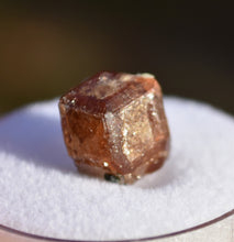 Load image into Gallery viewer, VERMONT Hessonite Garnet with Secondary Lamellar Growth - Eden Mills / VAG Quarry Belvidere Mountain - Northern Vermont - 2.94 grams
