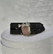 Load image into Gallery viewer, Black Tourmaline and Pink Apatite Cluster -- Sweet Little Thumbnail Combo Specimen
