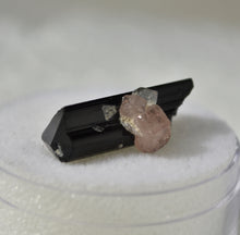 Load image into Gallery viewer, Black Tourmaline and Pink Apatite Cluster -- Sweet Little Thumbnail Combo Specimen
