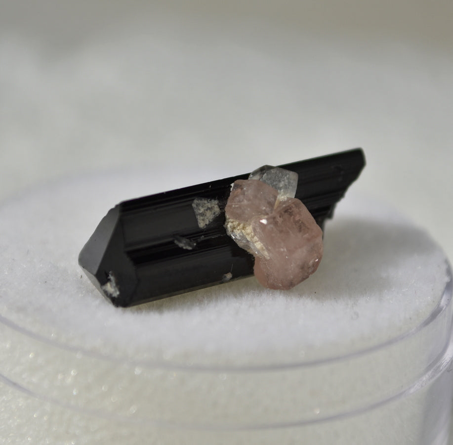 Black Tourmaline and Pink Apatite Cluster -- Sweet Little Thumbnail Combo Specimen