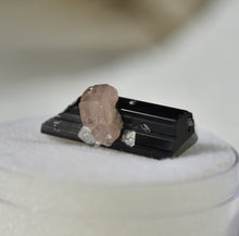 Load image into Gallery viewer, Black Tourmaline and Pink Apatite Cluster -- Sweet Little Thumbnail Combo Specimen
