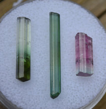 Load image into Gallery viewer, Tourmaline Crystals - Set of 3 Aricanga Tourmaline Crystal Specimens - 7.38 ct.
