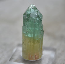 Load image into Gallery viewer, Tri-Color Tourmaline - Pink, Yellow, Green - Rubaya Mine, DRC - 8.95 grams
