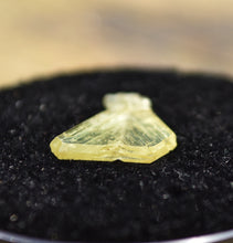 Load image into Gallery viewer, Chrysoberyl Fishtail Twin Crystal from Lac Alaotra, Madagascar
