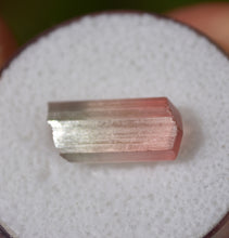 Load image into Gallery viewer, Perfect Bi-Color Tourmaline Crystal - 7 ct.
