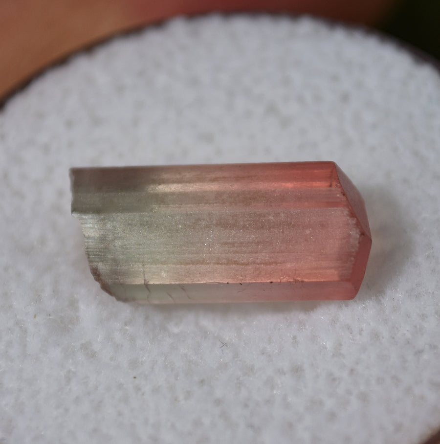 Perfect Bi-Color Tourmaline Crystal - 7 ct.