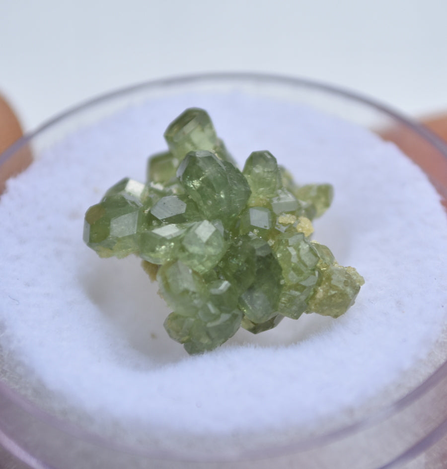 Apple Green Demantoid Garnet Cluster - Outstanding Crystal Form in a Large Thumbnail Size - 2.75 grams