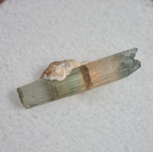 Load image into Gallery viewer, Polychrome Tourmaline with Minor Albite and Lepidolite - Etched, with a Cats Eye Termination
