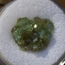 Load image into Gallery viewer, Demantoid Garnet Cluster Specimen - Madagascar - Perfect for Collection or Jewelry - 3.57 grams
