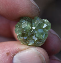 Load image into Gallery viewer, Demantoid Garnet Cluster Specimen - Madagascar - Perfect for Collection or Jewelry - 3.57 grams
